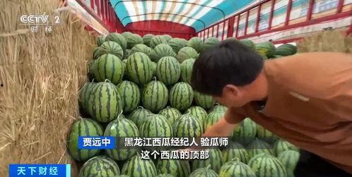 吃瓜能要钱吗,揭秘网络时代的新商机