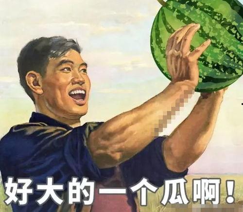 吃瓜当代大学生,当代大学生的“吃瓜”生活全景