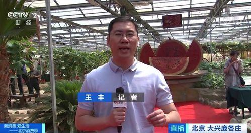 记者吃瓜视频,揭秘娱乐圈幕后真相