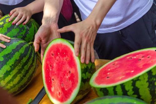 名学吃瓜,揭秘娱乐圈背后的那些事儿