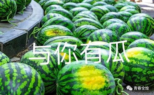 最新大学吃瓜,揭秘校园风云录