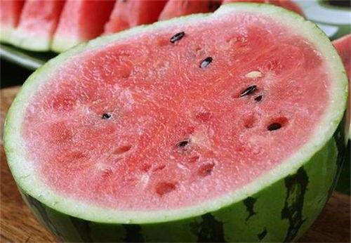 猫可以吃麒麟瓜吗,麒麟瓜，猫咪的美食还是禁忌？