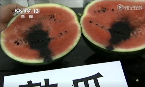 吃瓜视频解密工具,解锁热门视频背后的秘密