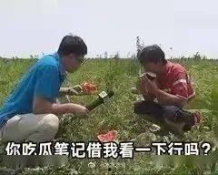 吃瓜事件背后,背后真相与网络舆论的漩涡