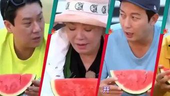 赵师傅吃瓜比赛,一场舌尖上的狂欢盛宴