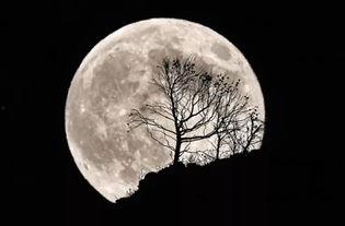 月亮摸头吃瓜视频,网络短视频引发热议