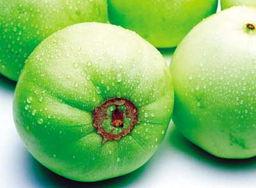 吃瓜种瓜人,人生百态的寓言故事