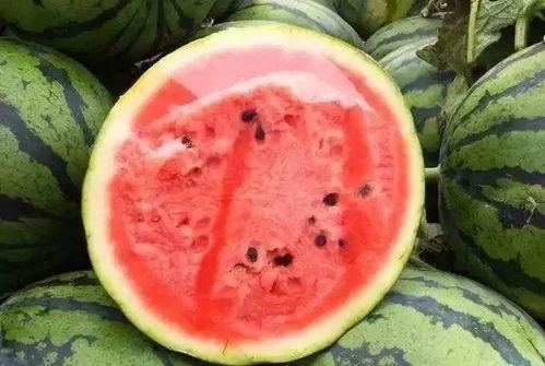 吃瓜胡刀还是瓜